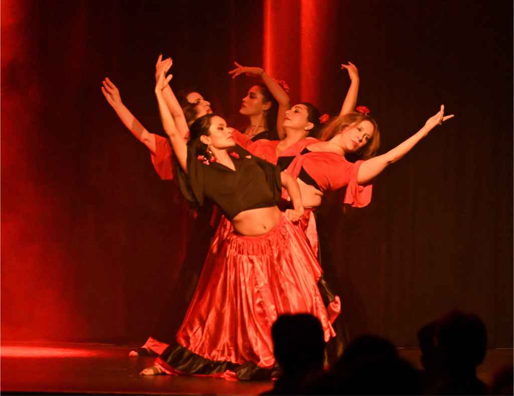 Spanish Oriental Fusion Blog 3 - Springmausmedia